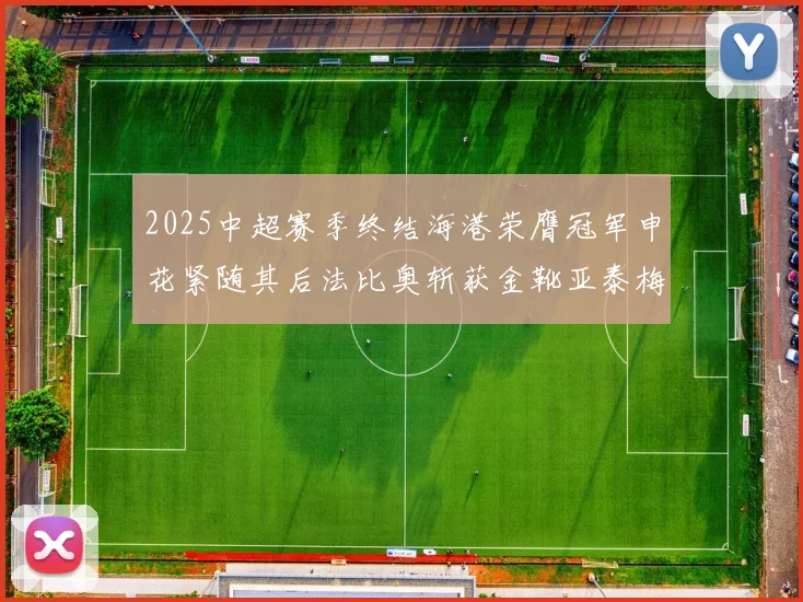 2025中超赛季终结海港荣膺冠军申花紧随其后法比奥斩获金靴亚泰梅州遗憾降级