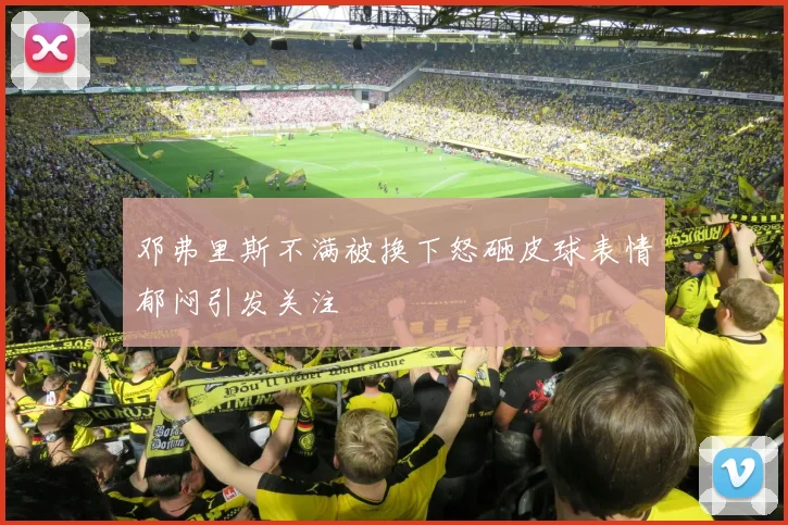 邓弗里斯不满被换下怒砸皮球表情郁闷引发关注